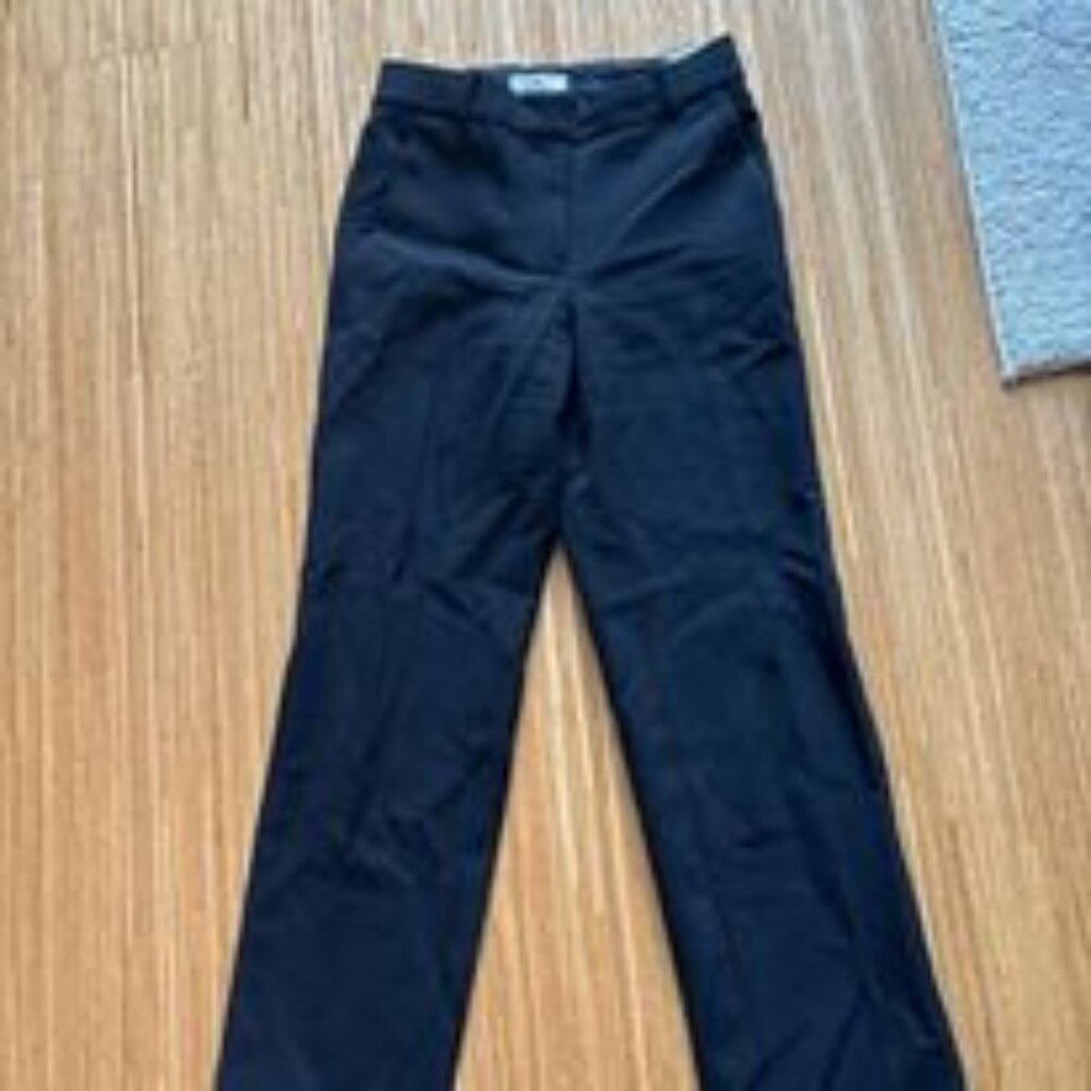 Babaton Pants- size 00